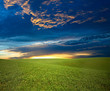canvas print picture An image of blue sky and green field