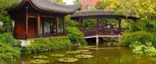 Chinese Garden Portland
