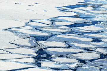 Wall Mural - Crushed ice floes in Antarctic pack ice