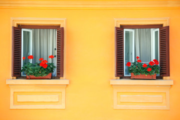 two windows on orange vivid wall with geraniums, romania style