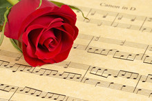 A Red Rose Bud Rests On Pachelbel's 'Canon In D'  Sheet Music