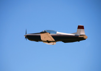 Wall Mural - Light private propeller driven airplane in flight