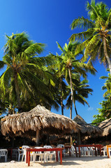 Poster - Outdoor restaurant on tropical beach with palm trees