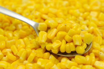 Wall Mural - Close up of sweetcorn kernels in spoon