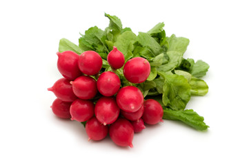 Wall Mural - fresh radish on white background