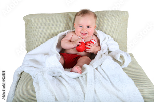 Photographie Portrait of the small boxer on a white background
