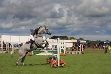 Horse Jumping At The Anglesey Show In North Wales