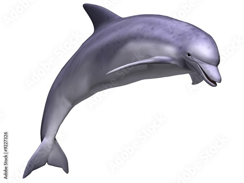 Plakat Skaczący Dolphin