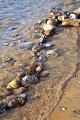 Poster - Rocks in water at the shore of Georgian Bay, Canada.