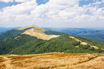 Sticker - View of mountains with green trees and meadow and blue sky..