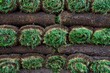 An image of bright green rolls of sod