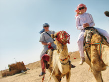 People Traveling On Camels In Egypt Desert