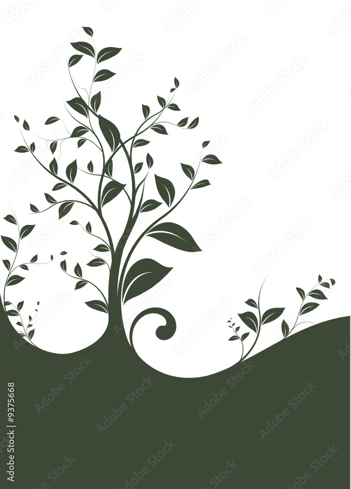 Svg Vector Serie Floral Design Border Wall Mural Wallpaper Murals Olivier Le Moal Svg Vector Serie Floral Design Border Wall Mural Wallpaper Murals Olivier Le Moal