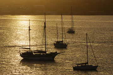 Yachts in St.Thomas island Long bay (U.S. Virgin Islands).