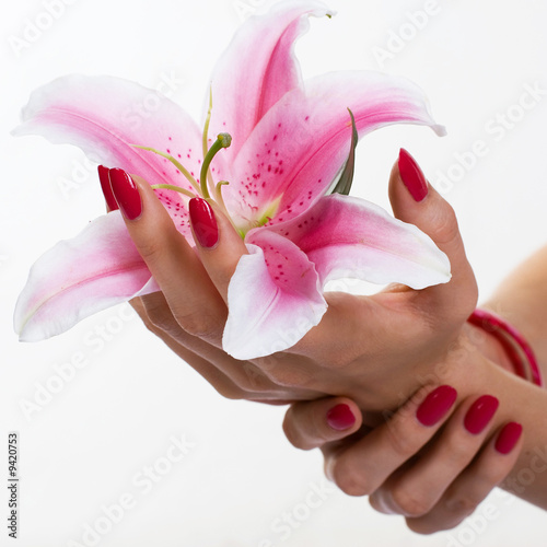 Plakat Piękne dłonie gospodarstwa lilia