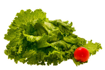 fresh lettuce and tomato expressed on white background