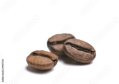 Fotografie, Obraz Three coffee beans isolated on white background