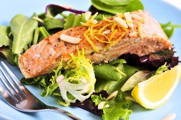 Poster - Green salad with grilled salmon fillet and lemon