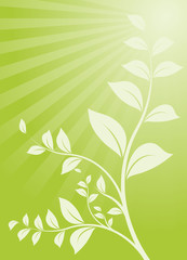 Wall Mural - vector serie - gardening, tree with green backgound and sun