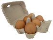 Eier im Karton, freigestellt