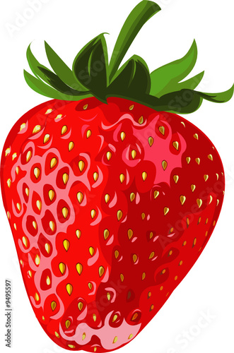 Obraz truskawki   dojrzale-jagody-truskawka-na-bialym-tle