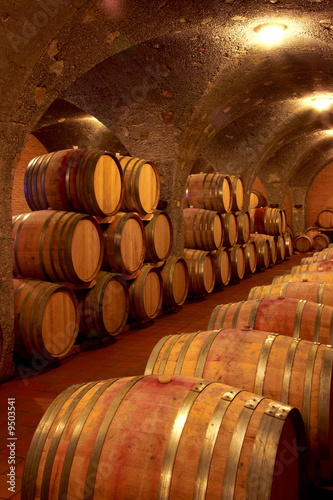 Fotomural Weinkeller,Rotwein im Barrique Faß ausgebaut,Toskana,Italien