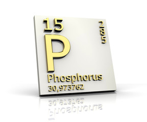 Wall Mural - Phosphorus form Periodic Table of Elements
