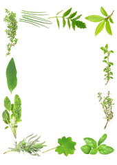 Sticker - Culinary and Medicinal Herbs