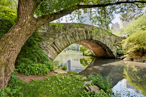 Naklejka na drzwi A stone bridge, Gapstow Bridge, in Central Park, NY.