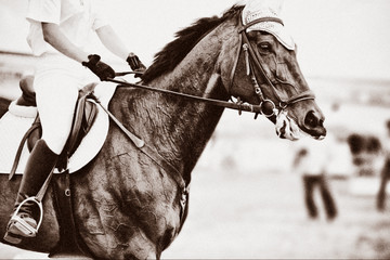 Fotoroleta koń wyścigowy narodowy retro dżokej