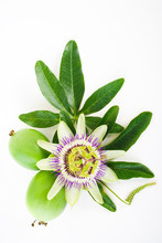 Passion Flower With Fruits And Leaves Isolated