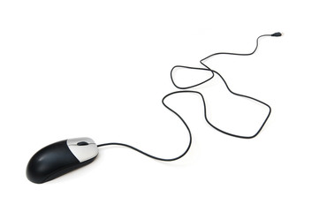 Computer mouse isolated on the white background