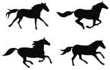 Fototapeta Konie - Running horses