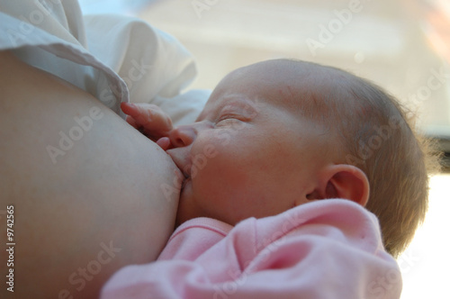 Bebe Au Sein 1 Stock Photo Adobe Stock Bebe Au Sein 1 Stock Photo Adobe Stock