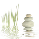 Zen Simplicity