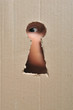 Eye looking through a conceptual keyhole on coardboard, close up