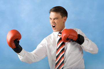 Sticker - Portrait of screaming boxer wearing red gloves