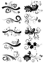 Curled Vector Floral Elements For Design