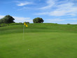 Golf - Golfplatz Green