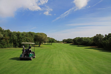 Wall Mural - Golf - Buggy auf  Fairway