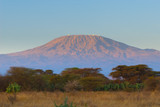kilimanjaro mountain in the sunrise