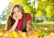 canvas print picture - autumn beauty 4