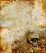 Skull in the corner on a grunge background.
