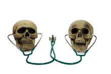 Medical Stethoscope And Skulls