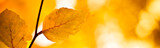 160_f_9939506_joydvkolqktfdufj5xcyffm7c43mziji