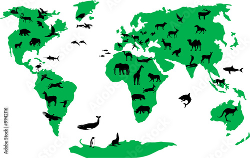 Obraz w ramie animal world vector file