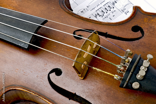 Obraz Dibond Violine