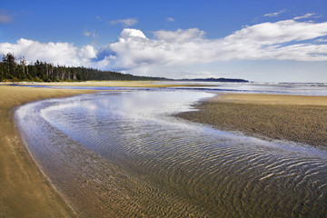 Sticker - Ocean outflow on coast of island Vancouver