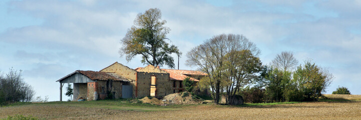 Wall Mural - ruine