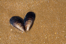 Simbol Of Love On The Wet Sand